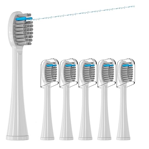 Waterpik Sonic Fusion Replacement Flossing Brush Where to Buy at the Best Price in USA?