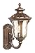 Livex Lighting 7650-50 Outdoor Wall Lantern with Hand Blown Light Amber Water Glass Shades, Moroccan Gold
