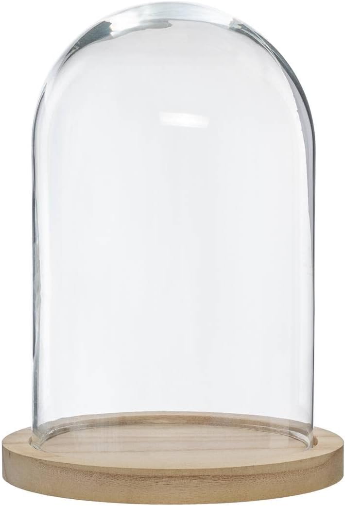 Tetra AniMin Colour Mangime Per Pesci Rossi - Alimento In Fiocchi Per Colorazione E Salute - Foto 4