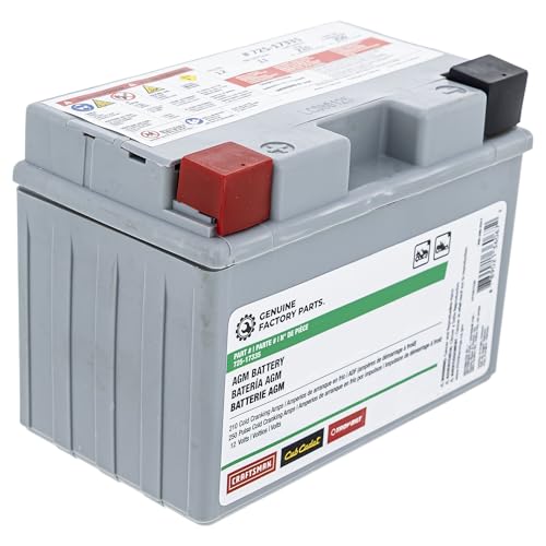 CUB CADET 490-280-F017 Battery 210cca 11AHR Ultima ZT1 ZT2 ZTS1 ZTS2 ZTX4 ZTX5 ZTX6 725P17335