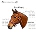 SIE EQUESTRIAN Leather Horse Halter with Brass Hardware, Pink and Black (Brown with Maroon Padding, Full)