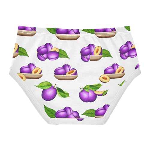 Purple Plums Toddler Girls's Underwear 2T 202c17582