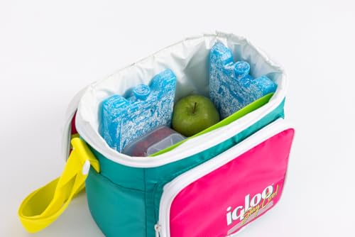 Image of Igloo Maxcold Ice Block,4 Pieces, Ice Block
