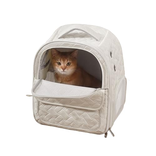Sac à dos de transport pour chat pliable pour partager chaque aventure ensemble