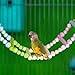 ShengQuanHao Bird Ladder Bridge Bird Cage Accessories Parrot Playstand Activity Center for Hamster, 6 Ladders