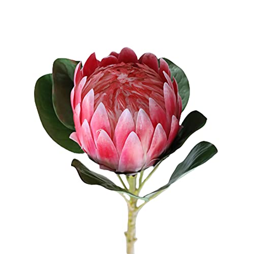 JFBUCF Flores artificiales King Protea, 69,5 cm de alto, decoración de flores tropicales, flores de seda de tacto real para ramo de boda, hogar, cocina, oficina, fiesta, decoración del hotel Cover