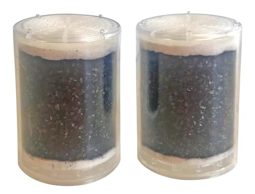 AQUAWATER - 104053 - Lot de 2 cartouches de charbon actif pour filtre sous robinet, pour éliminer le goût et les odeurs de l'eau en sortie de robinet - Durée de la cartouche : 3 mois