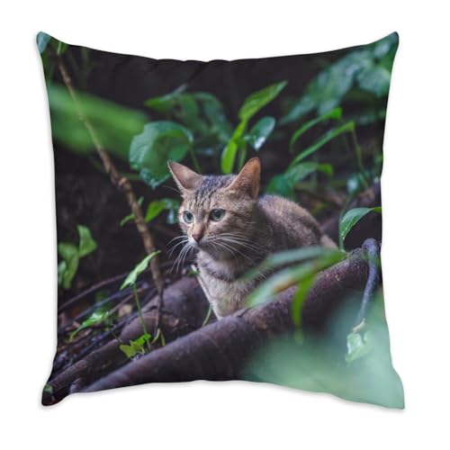 Image of Fabulous Velvet Cushion with Grey Tabby in the Woods European Cat 40 x 40 cm Velvet Feel with Cover and Cushion Included