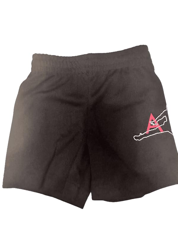 Jordan Jumpman Big Air Mesh Shorts, Black, Toddler 2T