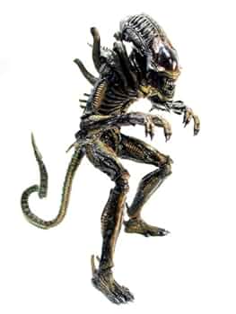 【ムービー・マスターピース】 エイリアン・ウォーリアー　リペイントバージョン 41HFGMYsHcL._UF350,350_QL50_.jpg