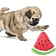 HANBOLI Hundespielzeug Wassermelonen Plüsch Quietscher Spielzeug für kleine mittelgroße Hunde Haustiere Haltbares Haustier Geschenk Tauziehen Interessantes Spielzeug für Langeweile