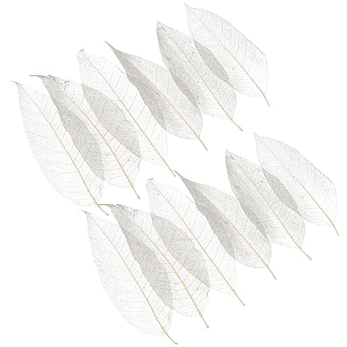 Hojas esqueletizadas naturales para manualidades y decoración miniatura 1
