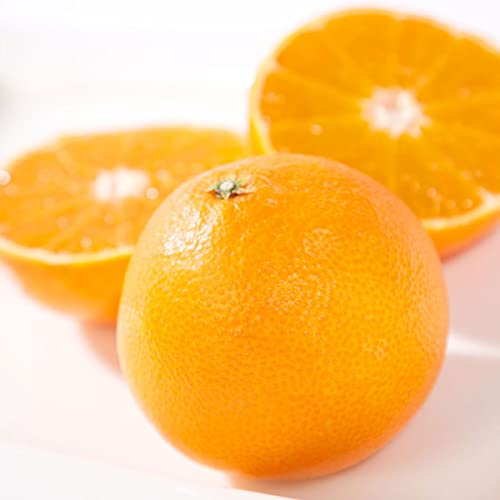 [~gIWK[f]݂ ܂ǂ (Gi3kg) Q l 蕨 Mtg ɂ 28 񂫂 k ~J 