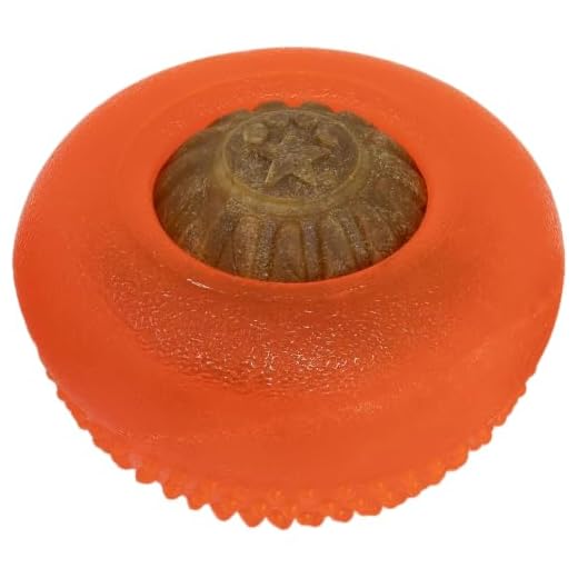 Starmark Everlasting Treat Bento Ball Tough Dog Chew Toy Medium