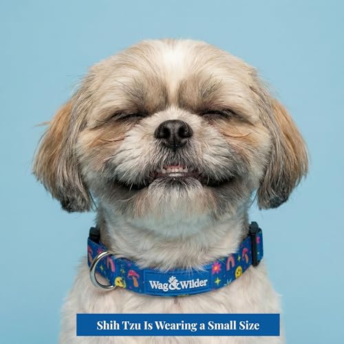 Image of Wag and Wilder Heavy Duty Adjustable Dog Collar for Small Dogs - Quick Release Buckle & Metal D-Ring (Groovy Trails Blue)