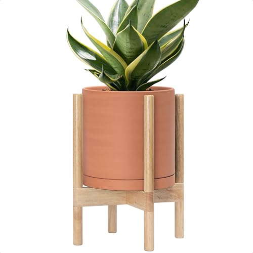 D'vine Dev Terracotta Pot with Natural Wood Stand...