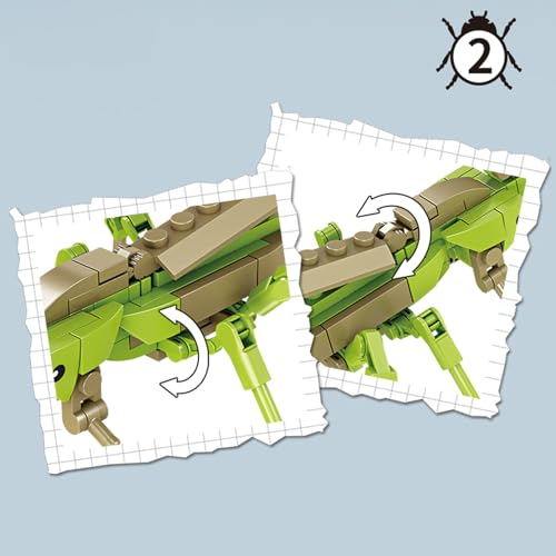 Image of Mini Insect Building Blocks Toy Insect Collection Building Block Set Insects Collection Building Blocks Bugs Toy Building Sets for Kids 6+ (Locusts)