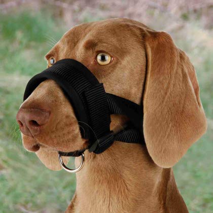 TRIXIE Maulkorb aus Nylonband, Training, XL-XXL, Schwarz, Hund