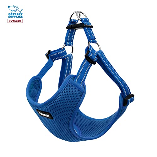 Best Pet Supplies Voyager Adjustable Dog Harness Leash Set including Reflective Stripes for Walking Heavy-Duty Full Body No Pull Vest with Leash D-Ring - Image 4