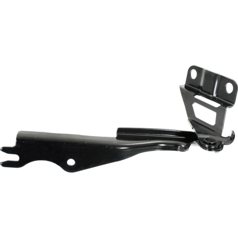 Amazon.com: ERISTJ Hood Hinge Set of 2 Right & Left Driver 