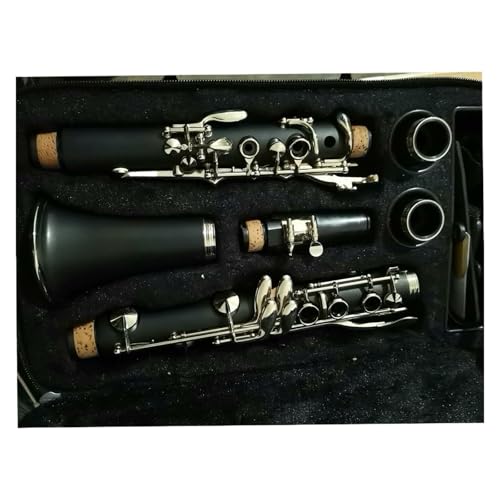 NlbgZbg BtbgNlbg ؍ސڒ܊y