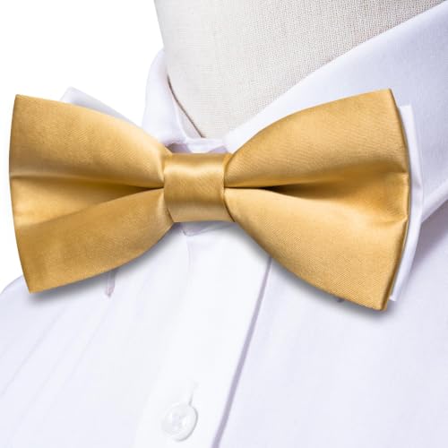 Image of Dubulle Mens Paisley Striped Bowtie Set Pre-tied Bowtie for Men and Pocket Square Set Wedding Business