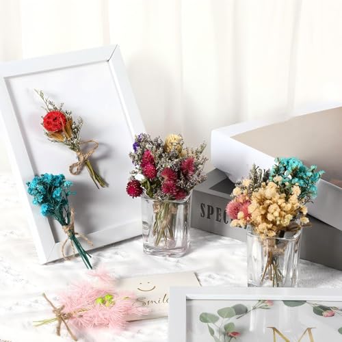 Mini ramos secos flores naturales Gypsophila 20 pcs miniatura 6
