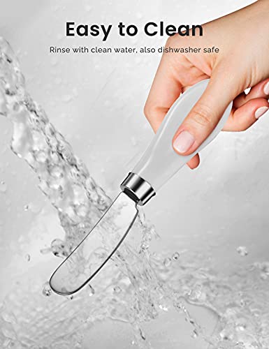 image for AISBUGUR 2 Pack Stainless Steel Butter Spreader Knife, Butter Knife wi