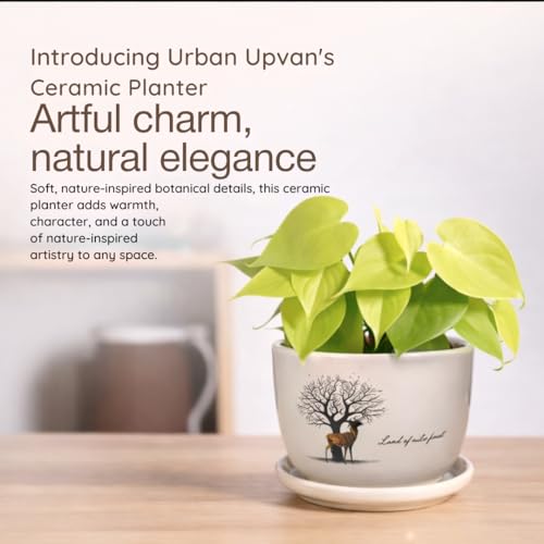 Image of Urban Upvan Tree Design Printed Ceramic Pot with Tray - Premium Decorative Planter for Indoor & Outdoor Plants, Modern Elegant Flower Pot for Home, Garden & Office