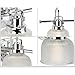 Archie Collection 3-Light Clear Double Prismatic Glass Coastal Bath Vanity Light Polished Chrome