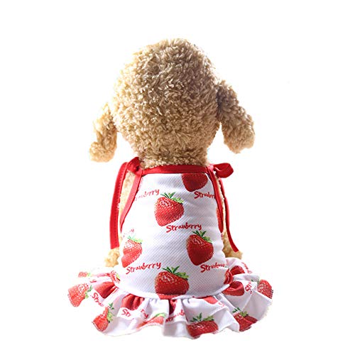 LUAMY ̕  t[c bV Ȃ 킢 ybg RX`[ hbOEFA  ^ ^ (L, hX)