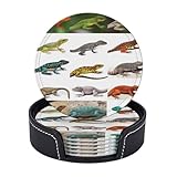 Juego de 6 posavasos de cuero, diferentes tipos de posavasos de lagarto para bebidas, con soporte, antideslizantes, tazas, almohadilla, decoración divertida, posavasos redondos para protección de mesa