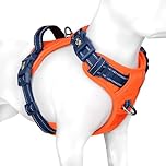 PHOEPET Dog Harness No Pull, Escape Proof Adjustable Vest, Reflective Choke Free Harness with Easy Control Handle for Small Medium Large Dogs Walking and Training(Orange Base & Blue Straps,S)