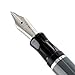 Nemosine Singularity Granite Fountain Pen - German Fine Nib