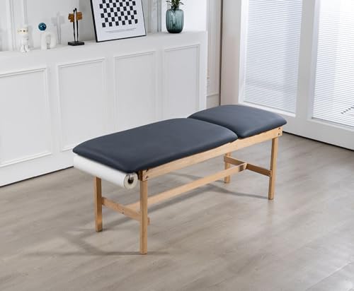 Carenovo 27.5\" Adjustable backrest Medical Treatment exam Table for Spa Clinic Hospital (Blue)