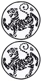 Patchion