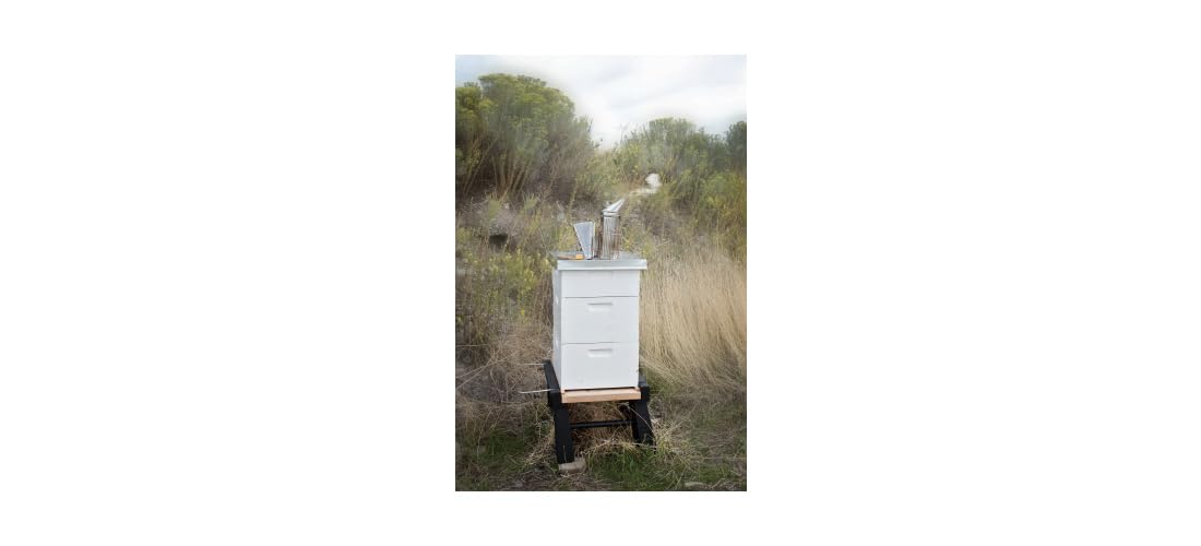 Harvest Lane Honey Standard Smoker, para el Apicultor de Patio, Fabricado con Fuelle de Cuero