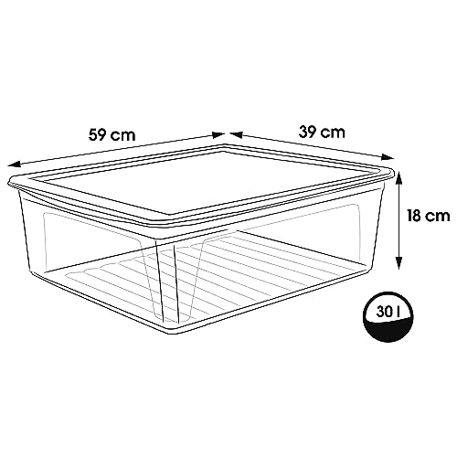 keeeper Aufbewahrungsbox mit Air Control System, 59 x 39 x 18 cm, 30 l, Bea, Transparent