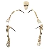 Halloween Haunters Life Size Realistic Groundbreaker Skeleton Bones Prop Decoration - Scary Plastic Body Parts Skull, Hands, Feet, Arms, Legs with Lawn Stakes - Graveyard Tombstone Haunted Grave