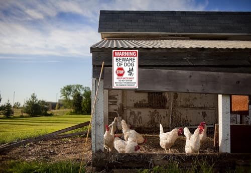 Funny Beware of Dog Sign – Warning, No Trespassing, Keep Gate Closed, Do Not Enter Without Permission, 8x12 Inch Aluminum Sign, Perfect for Yard, Fence, and Garden Décor