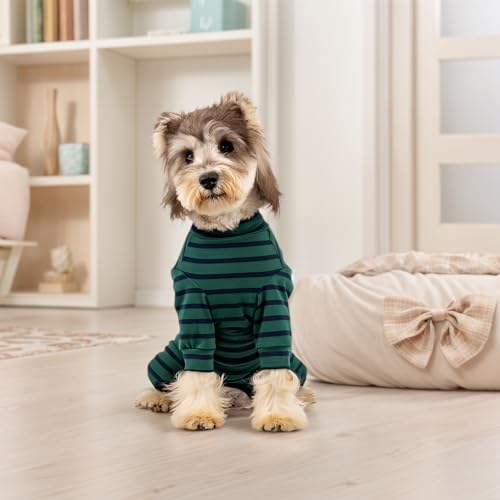 Hundebody Nach Op,Langärmeliger Op Body für Hunde,Hundebody Nach Kastration,Hundeanzug Mit Beinen,Operationsbody,Hundepyjama für Kleine Mittelgroße Hunde,Wundschutz,Anti-Lecken (S)