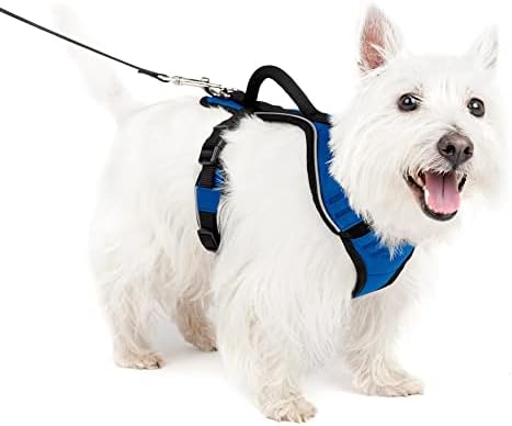 PetSafe EasySport Dog Harness, Adjustable Padded Dog Harness with Control Handle and Reflective Piping, From the Makers of the Easy Walk Harness Blue Small