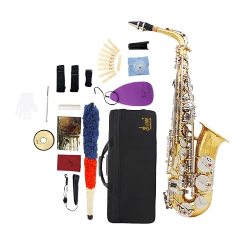 rockible アルトサックス 楽器 軽量 プロフェッショナル アルトサクソフォン フルキット 収納ケース ショーパフォーマンス練習用, ゴールドとアージェント