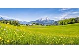 puzzle per adulti 1000 pezzi prati fioriti in estate berchtesgaden parco nazionale alpi foto famiglia divertente impegnativo vacanza puzzle regalo