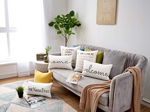 Sanmetex Home Sentiment Pillow Cover Embroidered Lumbar Throw Pillow Cases Decorative Cushion Cover For Wedding Birthday 12"X20" (Grey) #TOP6