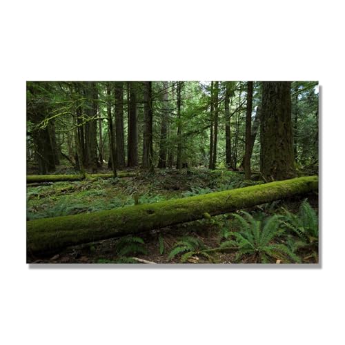 Tableau nature impression sur toile NHLDZYH 50x80cm art moderne déco salon sans cadre A-17