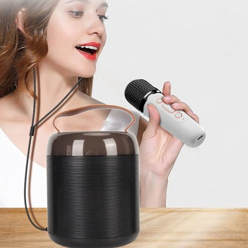 Conjunto de 2 microfones, alto-falantes de karaokê requintados 5.3 para quarto para acampamento (#2)
