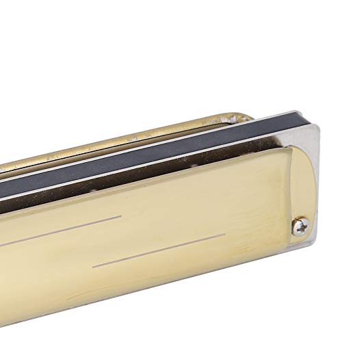 Kcivsou Harmonica 10 Trous, Harmonica 10 Trous Blues E Key Harpe Instrument de Musique à Vent Débutant Pratique KS-10BH - Les Beatles, Paul McCartney, John Lennon, RIngo Starr, George Harrison Kcivsou Harmonica 10 Trous, Harmonica 10 Trous Blues E Key Harpe Instrument de Musique à Vent Débutant Pratique KS-10BH – Image 5