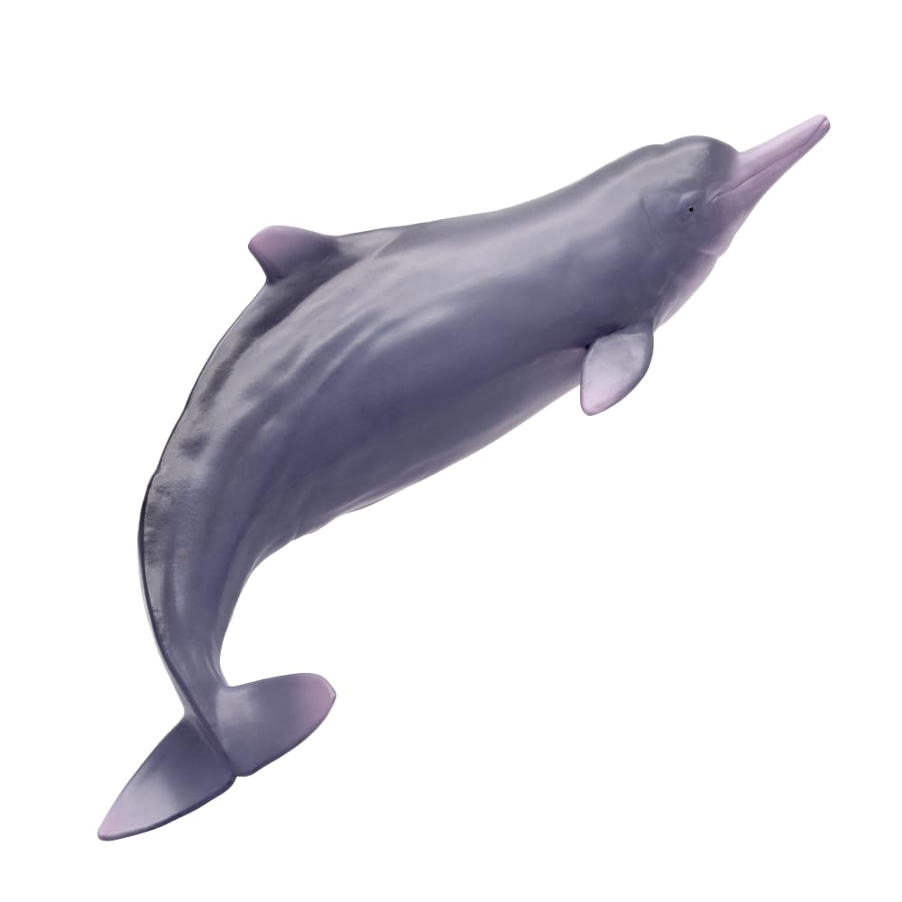 AMITD Living Animal:17 Xibao The Chinese White Dolphin