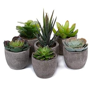T4U 6er Set Klein Kunstpflanze Sukkulenten Künstlich Dekorative Kunstpflanzen wie echt Pflanzen mit Topf, Deko Fake Plant für Hochzeit Büro Zuhause Wohnung Wohnzimmer Badezimmer Dekoration